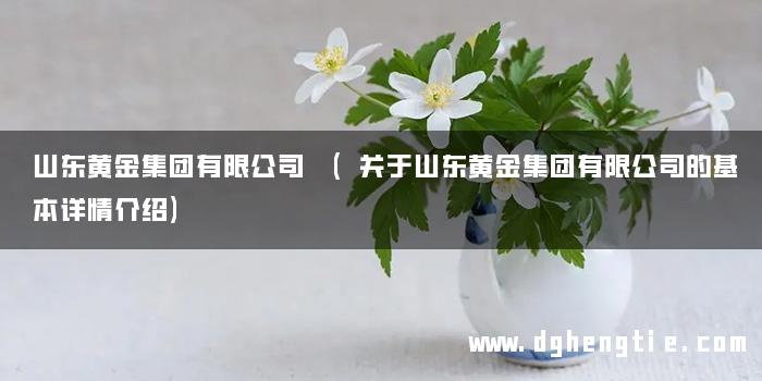 山东黄金集团有限公司 (关于山东黄金集团有限公司的基本详情介绍)